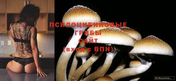 ГАЛЛЮЦИНОГЕННЫЕ ГРИБЫ Алексин