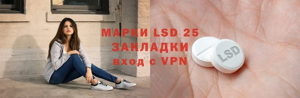 ГАЛЛЮЦИНОГЕННЫЕ ГРИБЫ Алексин