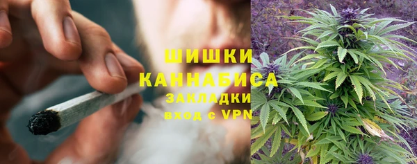 ГАЛЛЮЦИНОГЕННЫЕ ГРИБЫ Алексин