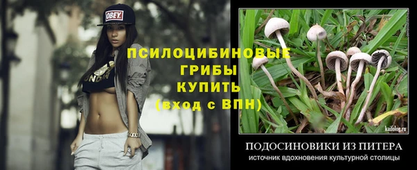 ГАЛЛЮЦИНОГЕННЫЕ ГРИБЫ Алексин