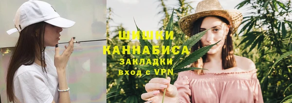 твердый Пересвет