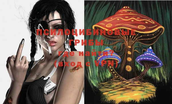 спайс Алзамай