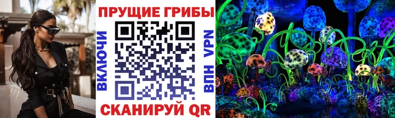 Псилоцибиновые грибы MAGIC MUSHROOMS купить сайты Санкт-Петербург